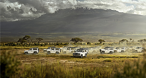 Landrover Zebra