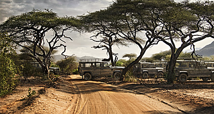 Landrover Elephants