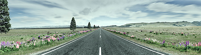 Flowerstreet